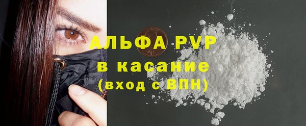 стаф Абинск