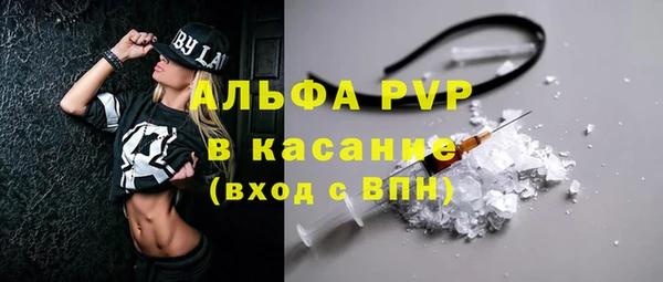 гидра Абаза