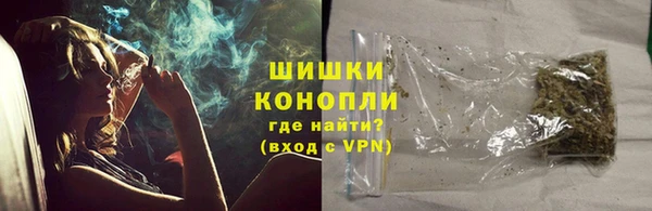 гидра Абаза