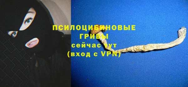 гидра Абаза