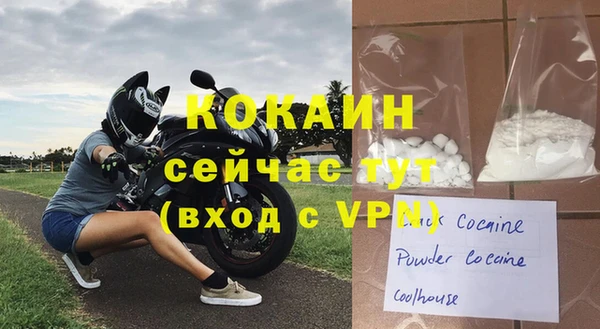 стаф Абинск