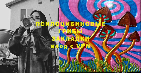 гидра Абаза